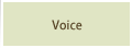 Voice